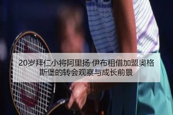 20岁拜仁小将阿里扬·伊布租借加盟奥格斯堡的转会观察与成长前景